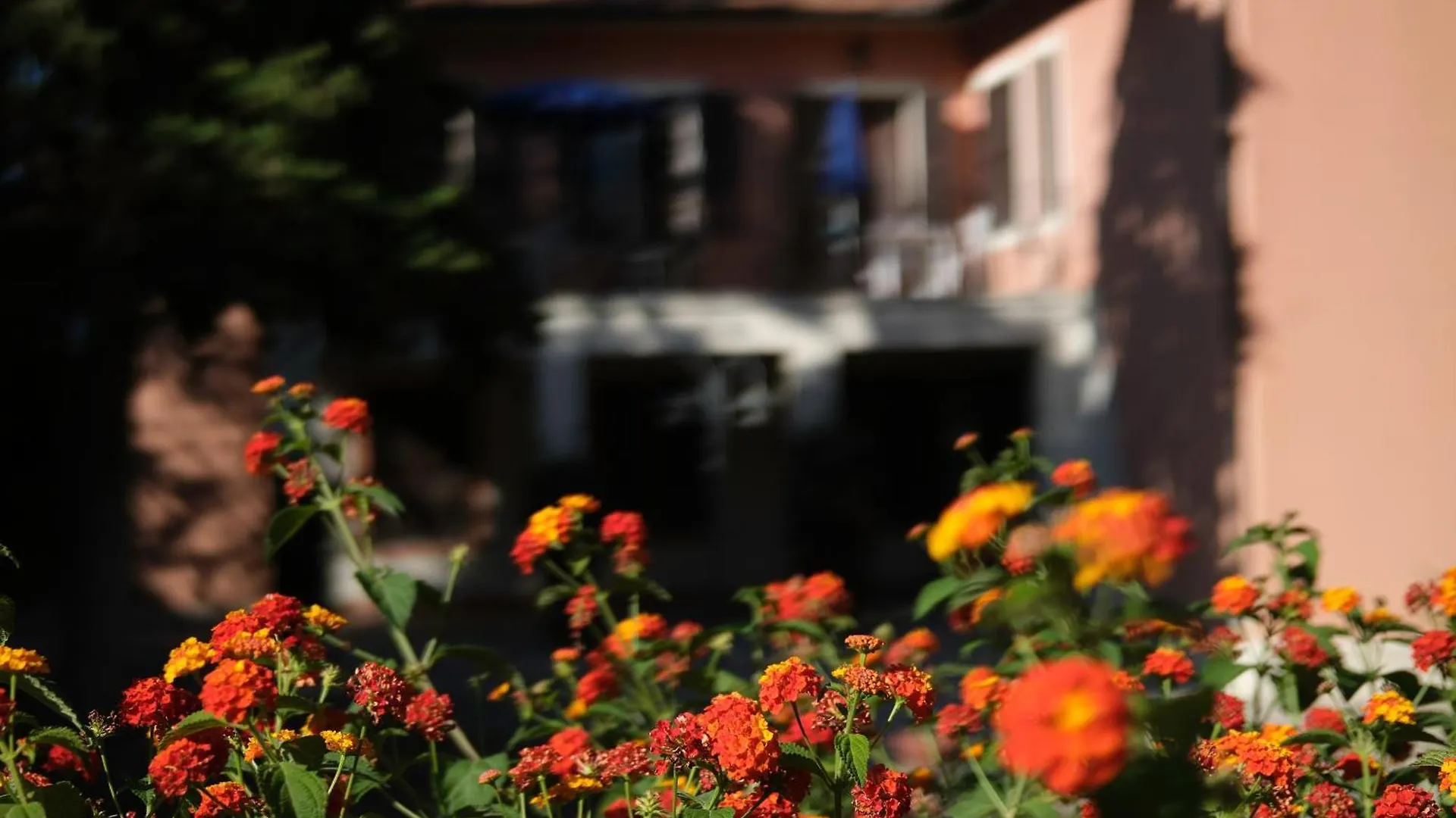 Park Hotel Napoleone Portoferraio
